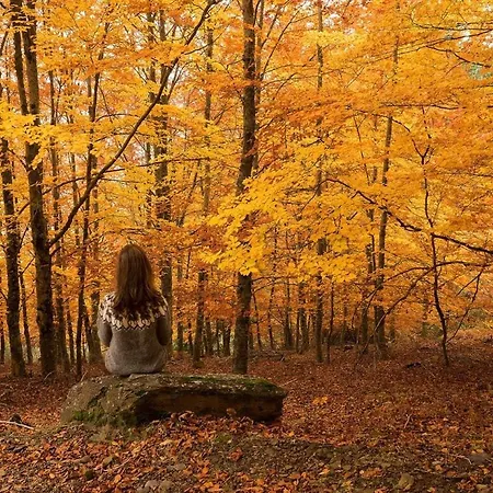 Apartament Arcadas Da