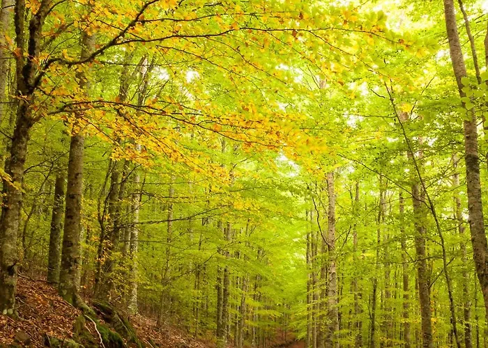 Arcadas Da Manteigas